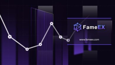 fameex-leads-the-way-in-simplifying-crypto-trading-amidst-market-expansion