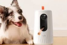 top-10-best-automatic-dog-camera-treat-toy-in-2025