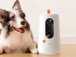 top-10-best-automatic-dog-camera-treat-toy-in-2025