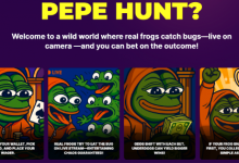 what-we-know-about-pepe-hunt-token