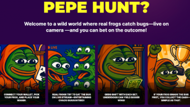 what-we-know-about-pepe-hunt-token