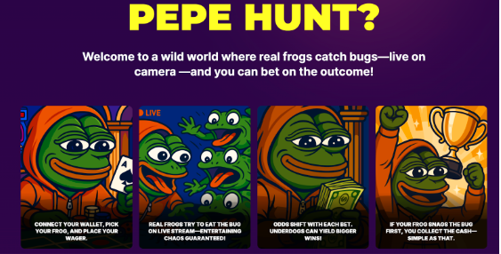 what-we-know-about-pepe-hunt-token